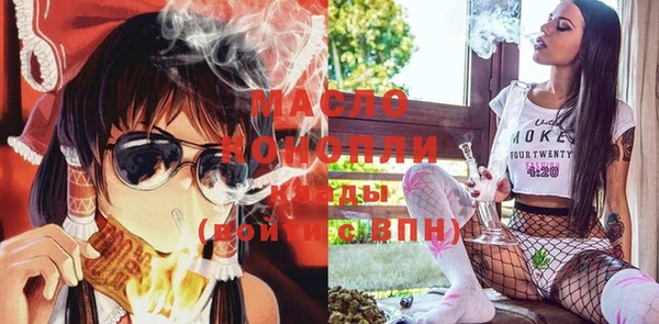 молекула духа Арсеньев