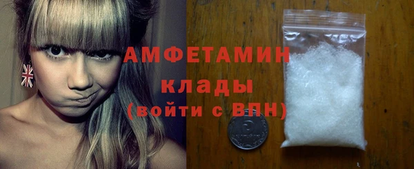 молекула духа Арсеньев