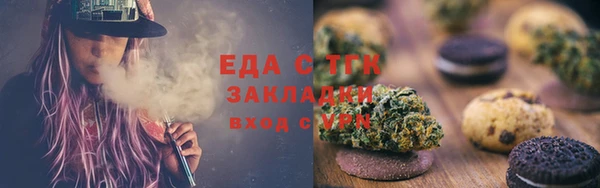 хмурый Аркадак