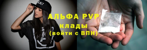 молекула духа Арсеньев