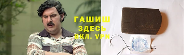 хмурый Аркадак