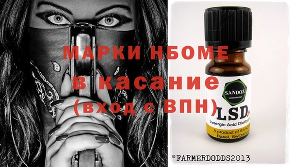 молекула духа Арсеньев