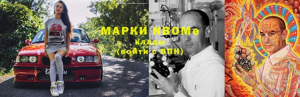 молекула духа Арсеньев
