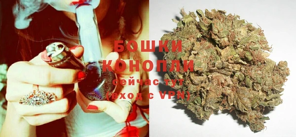 молекула духа Арсеньев