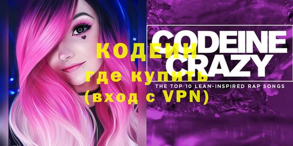 молекула духа Арсеньев