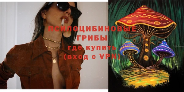 молекула духа Арсеньев