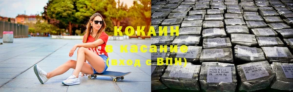 молекула духа Арсеньев
