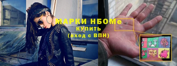 хмурый Аркадак